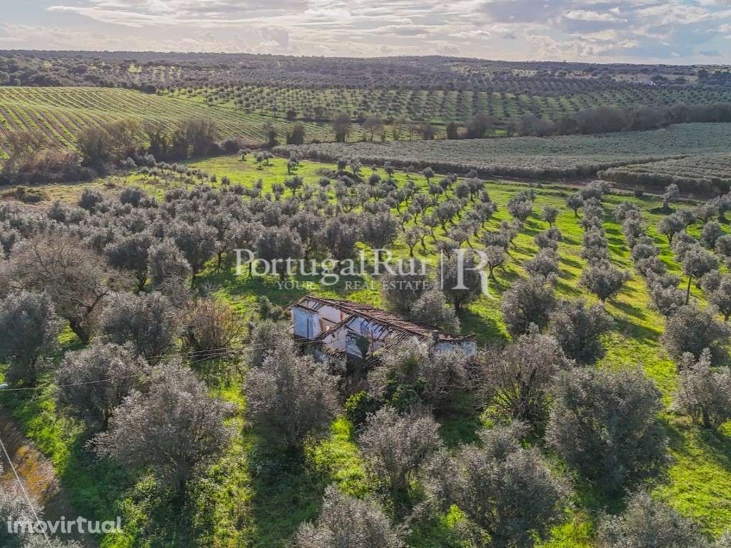 Propriedade com 1,5 ha e casa para recuperar no Alentejo - Grande imagem: 4/24