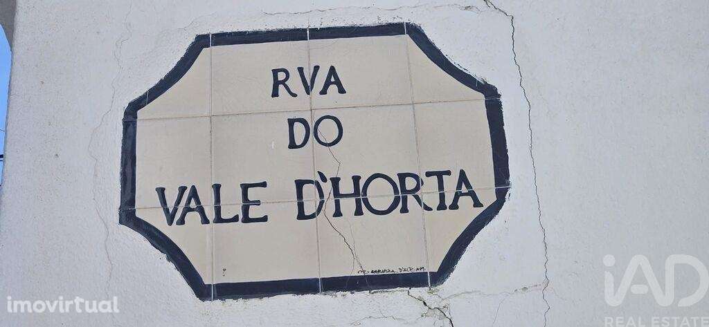 Terreno misto em Querença, Tôr e Benafim - Grande imagem: 2/21