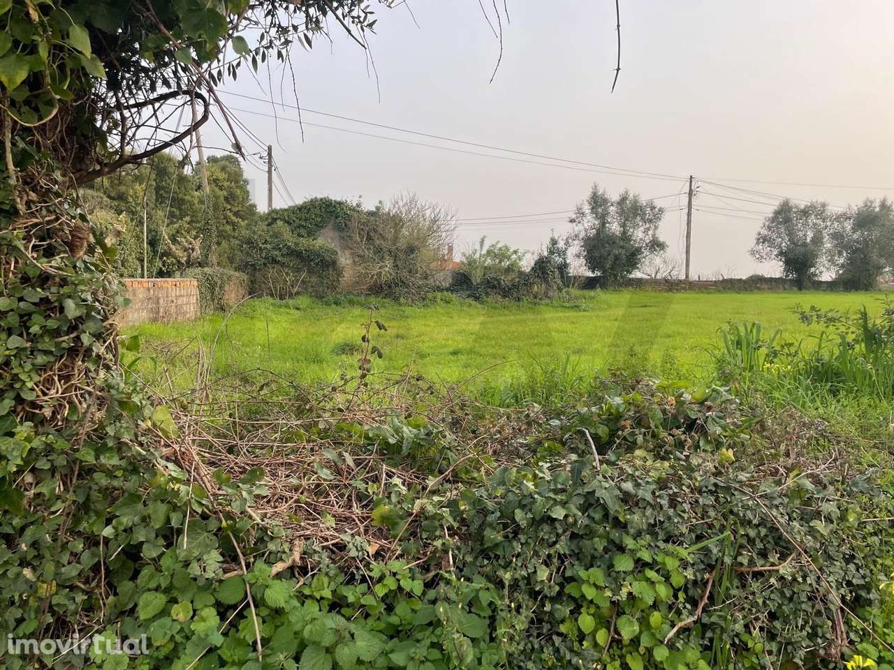 TERRENO PLANO PARA CONSTRUÇÃO EM RECARDÃES – 2.060 m2 COM DUAS FREN - Grande imagem: 2/24