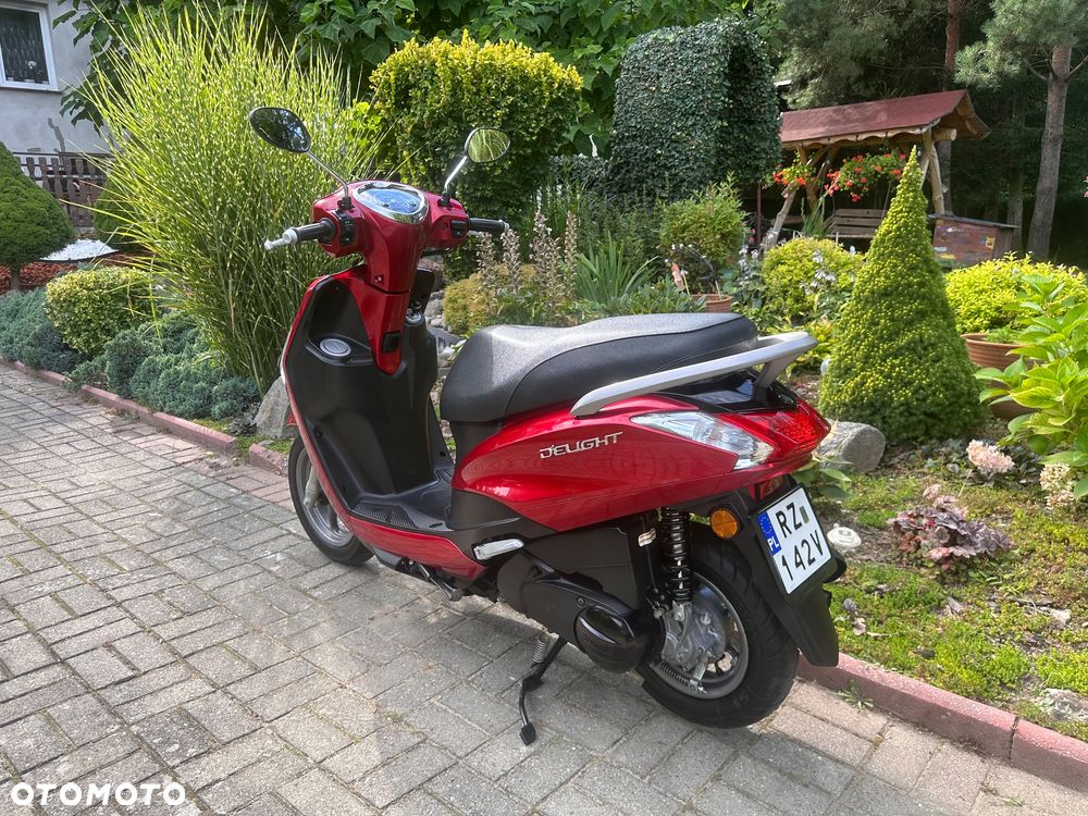 Yamaha D'elight - 13