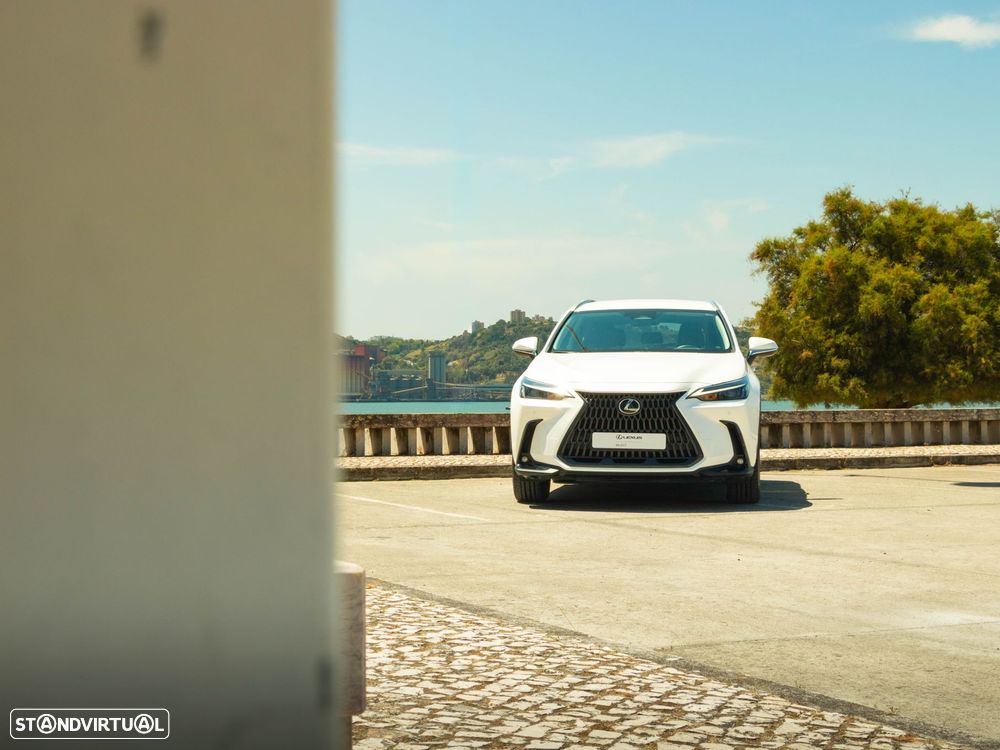 Lexus NX 450h+ Executive - 18