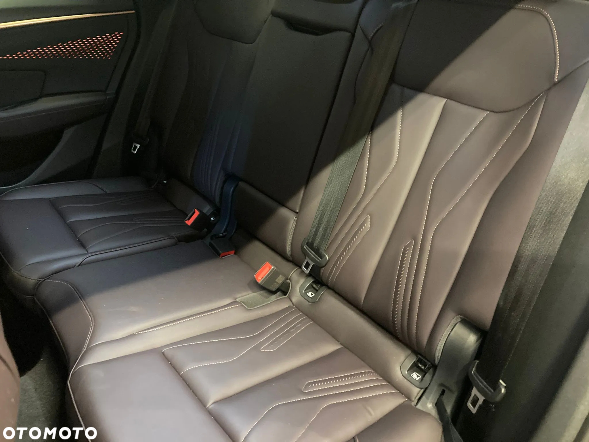 Cupra Terramar - 10