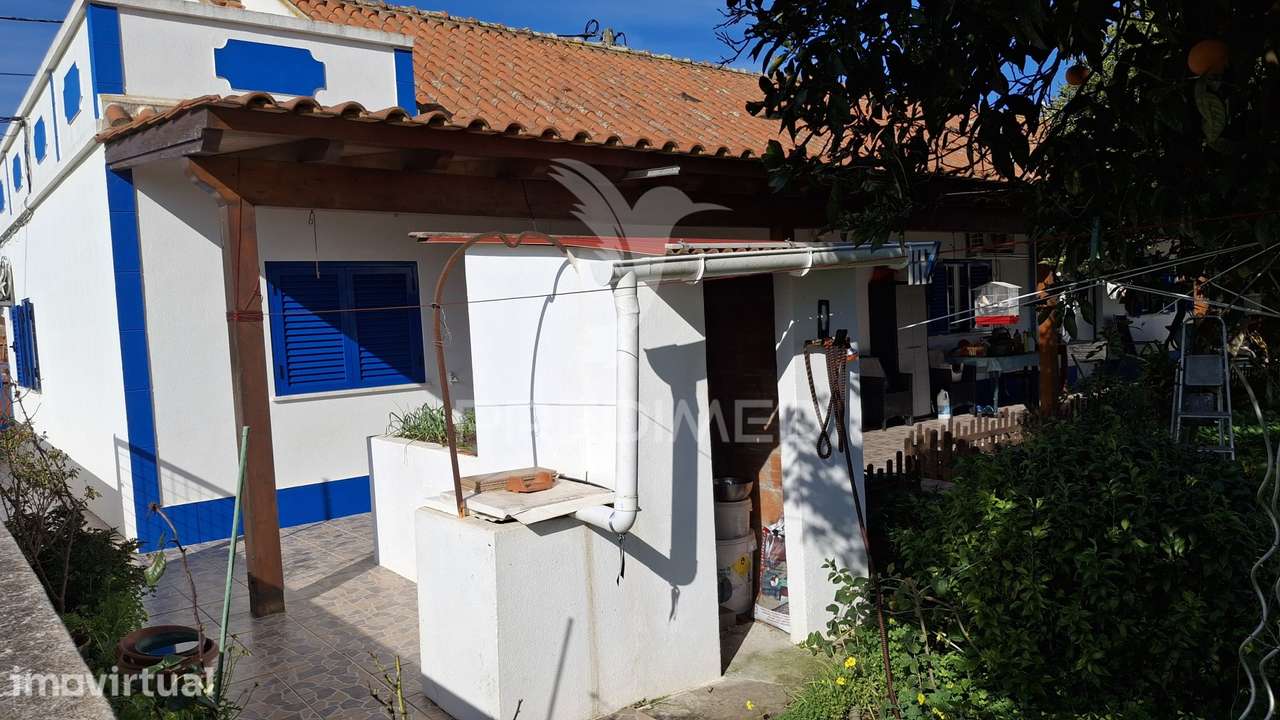 DUAS MORADIAS - T3 + T2 - BOAVISTA DOS PINHEIROS - ODEMIRA - Grande imagem: 5/40