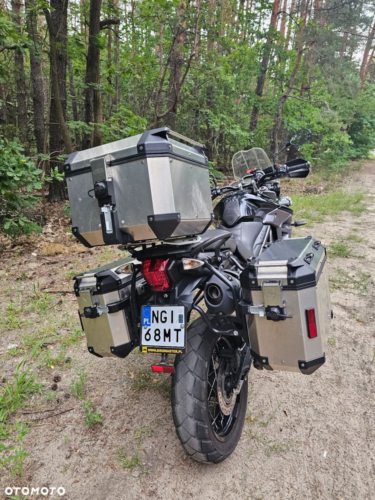 Triumph Tiger - 10