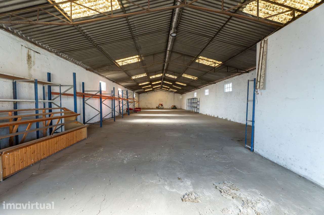 Armazém Industrial para Venda - Murtosa - Grande imagem: 4/7