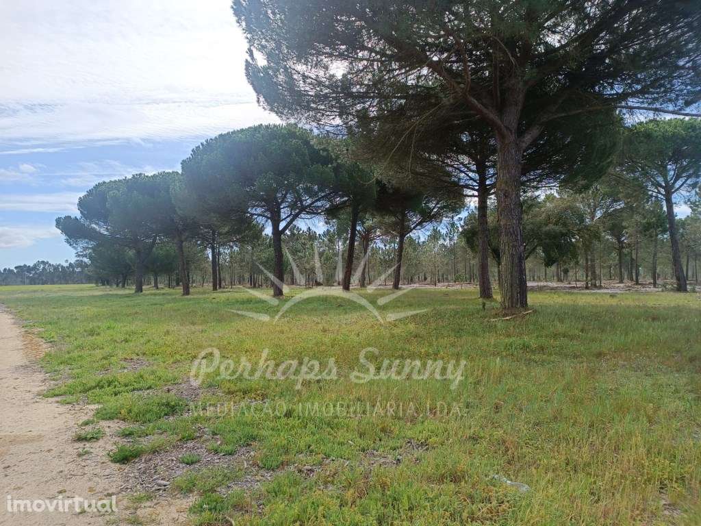 Herdade Bicas - Comporta - Grande imagem: 5/25