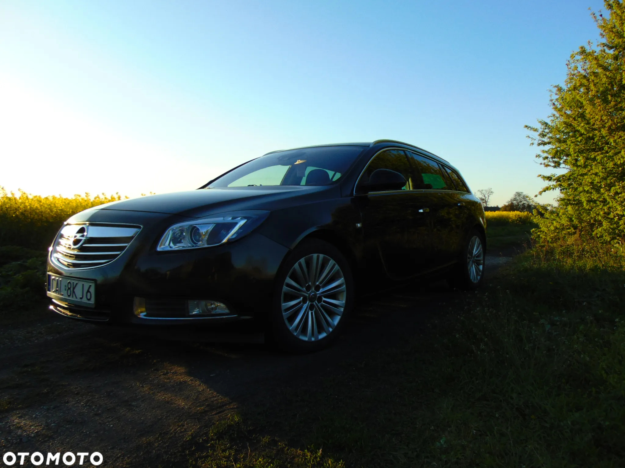 Opel Insignia 2.0 CDTI Sports Tourer ecoFLEX Cosmo - 2