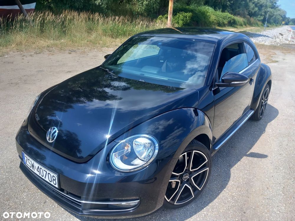 Volkswagen Beetle - 6