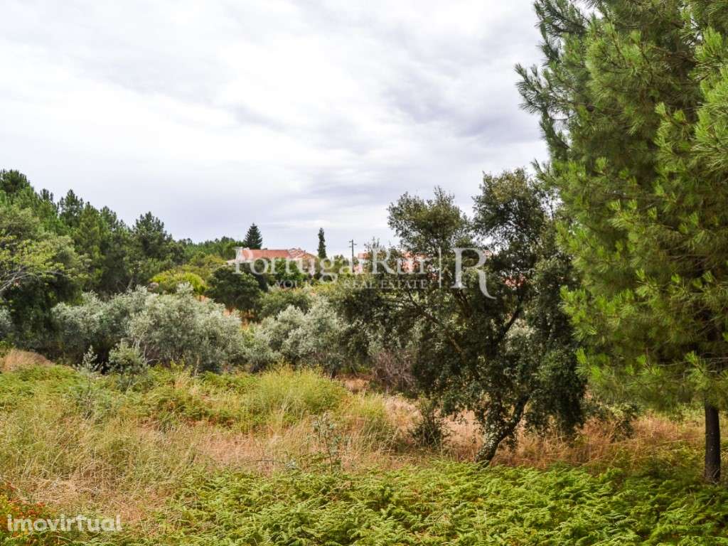 Terreno para Construção em Proença-a-Nova - Grande imagem: 2/17