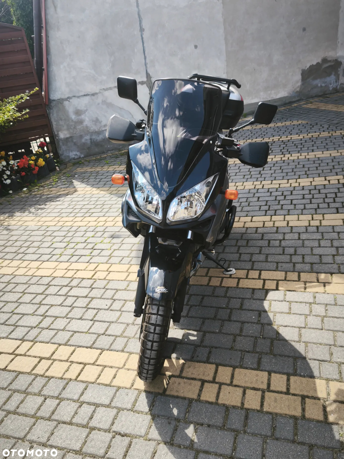 Suzuki DL