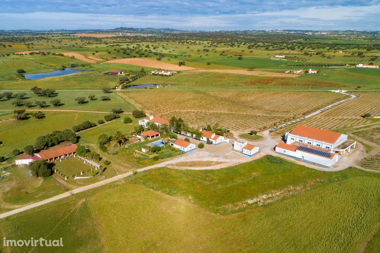 Herdade de 190 Hectares (16 Hectares de Vinha) a 10 km do lago de Alqu - Grande imagem: 2/40