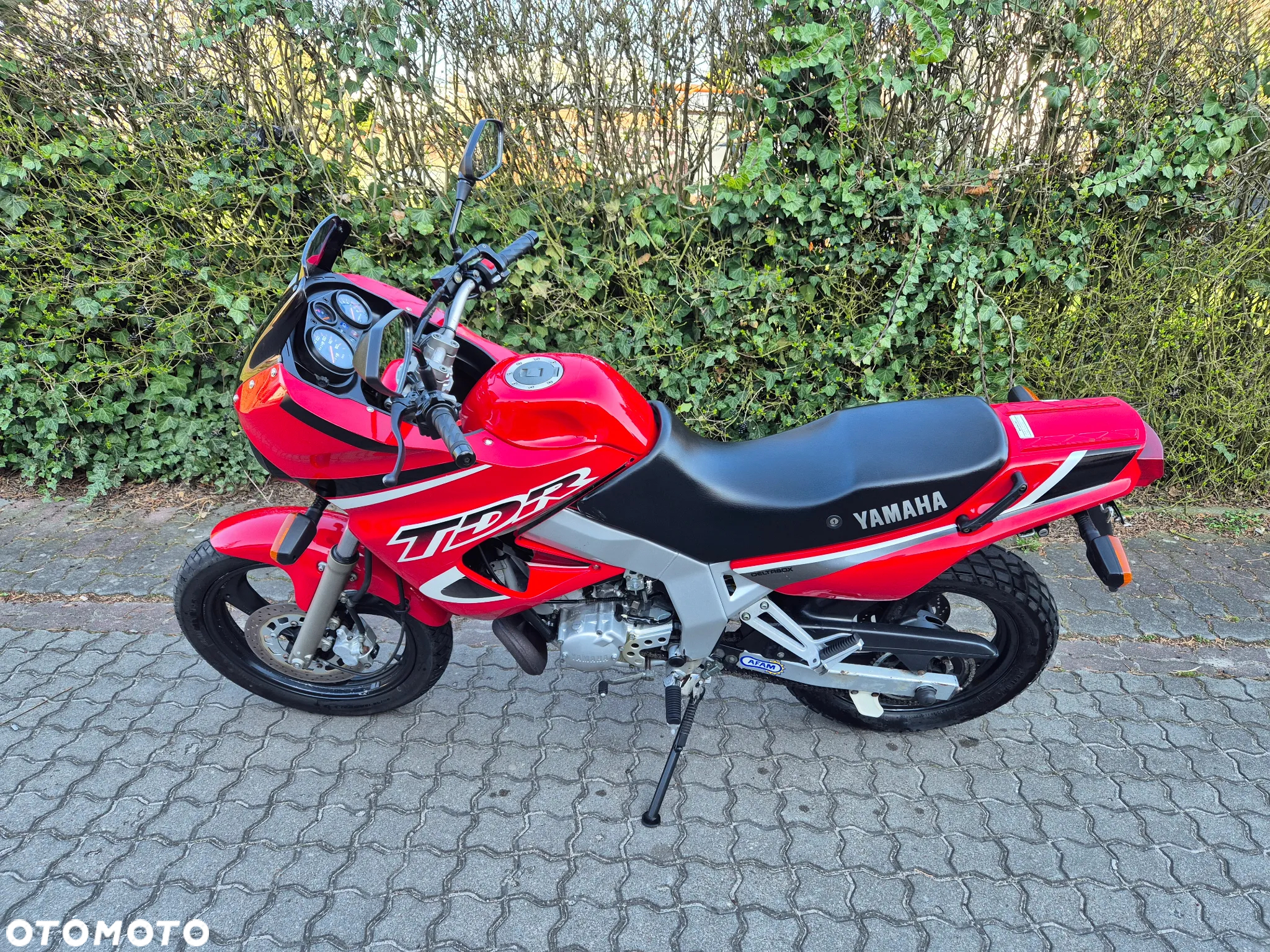Yamaha TDR