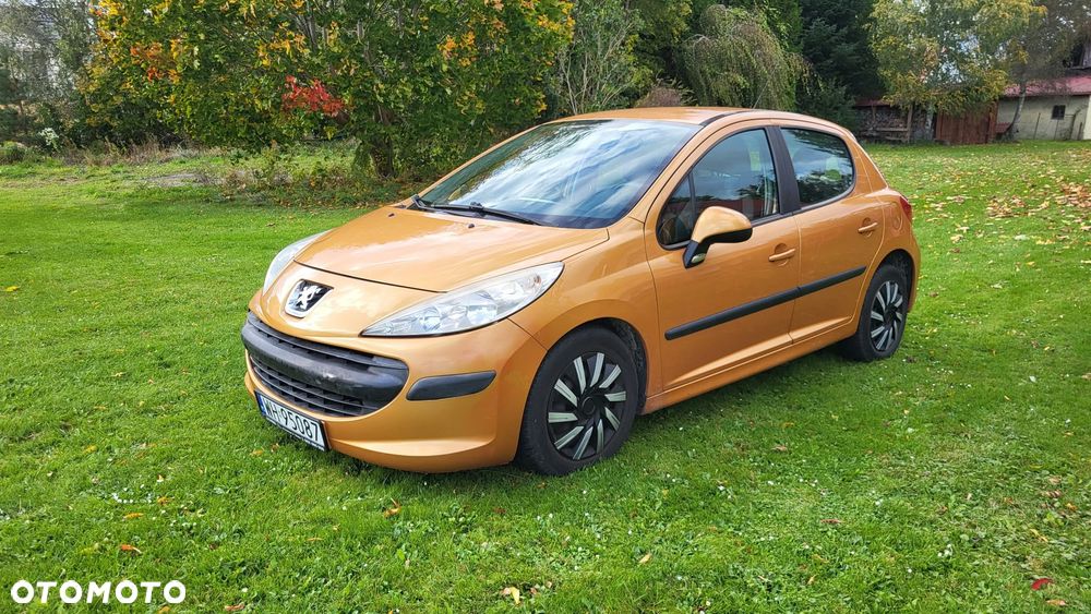 Peugeot 207 - 22