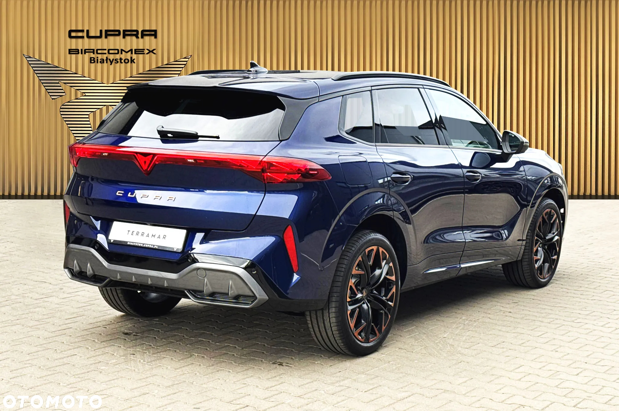 Cupra Terramar 2.0 TSI 4Drive DSG - 6