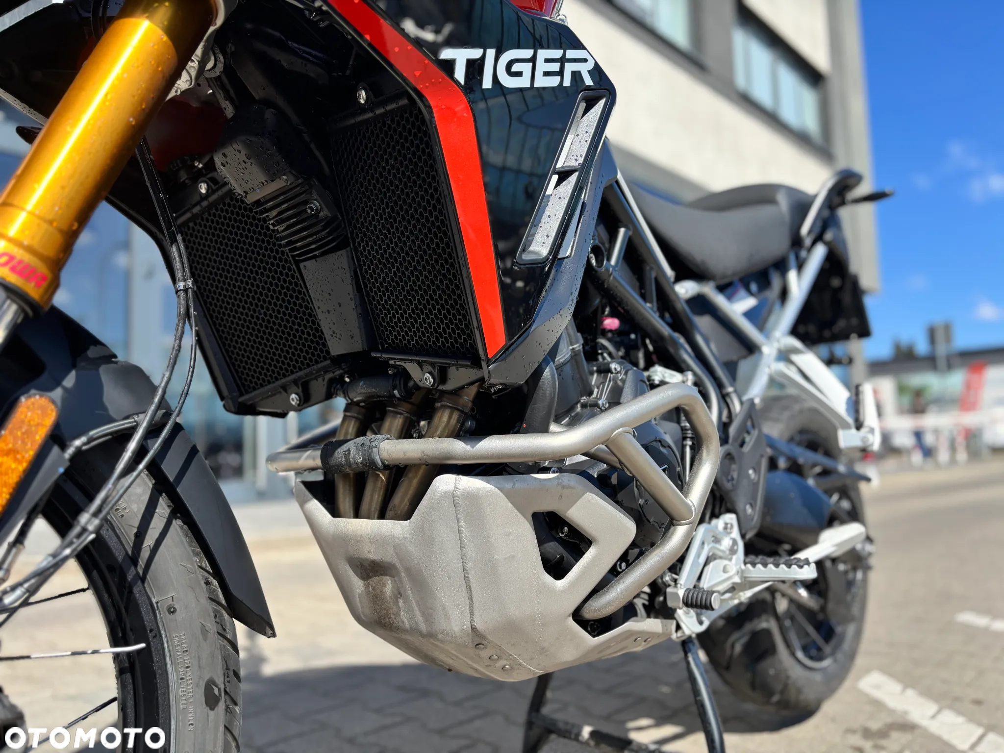 Triumph Tiger - 16