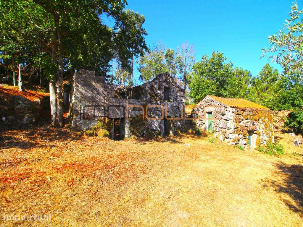 Quinta de 2ha com vista panorâmica - Freigil - Grande imagem: 4/23