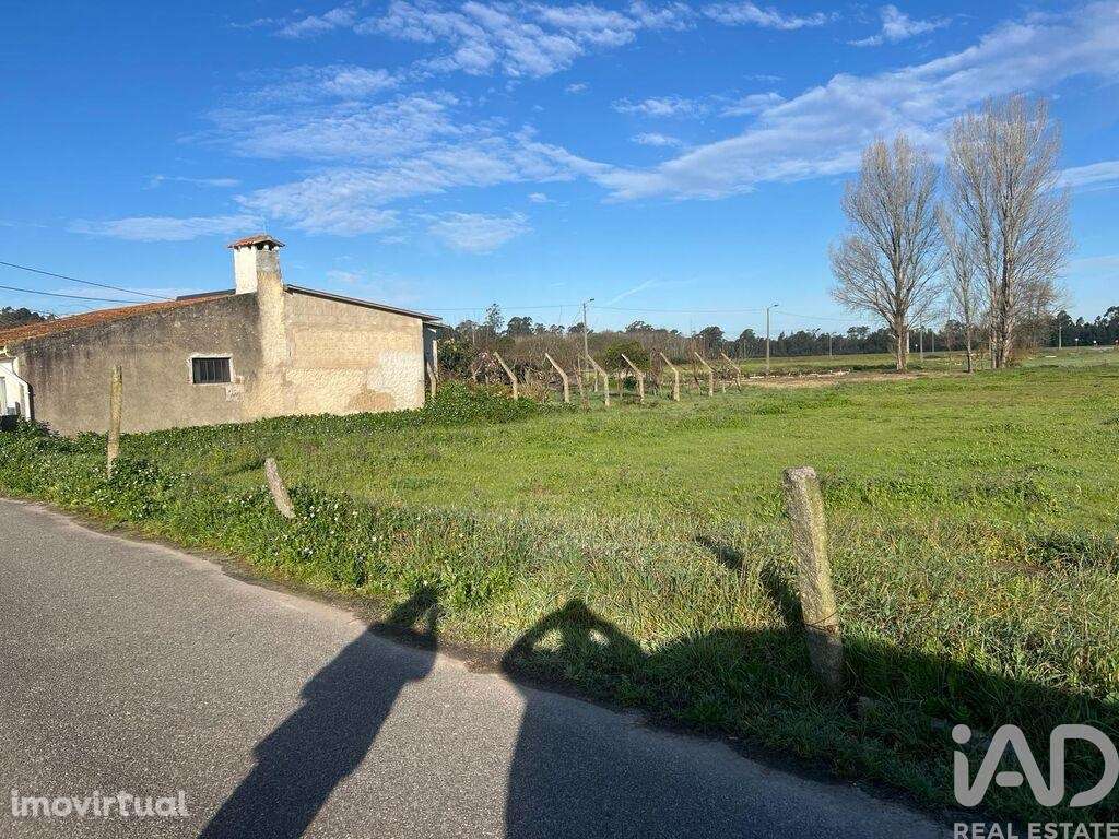 Terreno em Beduído e Veiros de 1720,00 m2 - Grande imagem: 2/4