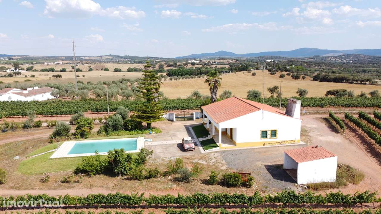 Vinha com 166 228m2, com benfeitoria (projeto) em Estremoz. - Grande imagem: 3/31