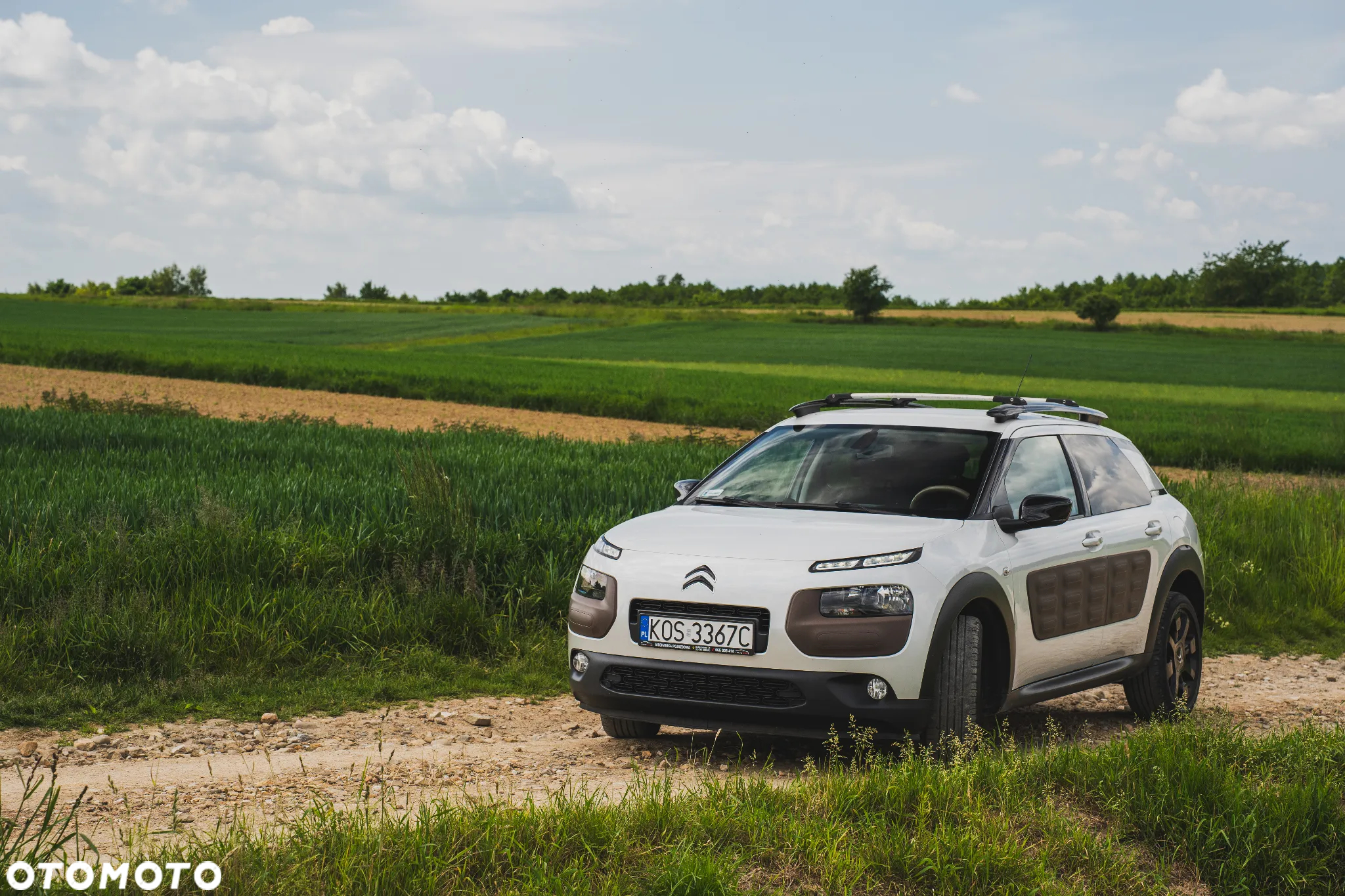 Citroën C4 Cactus - 6