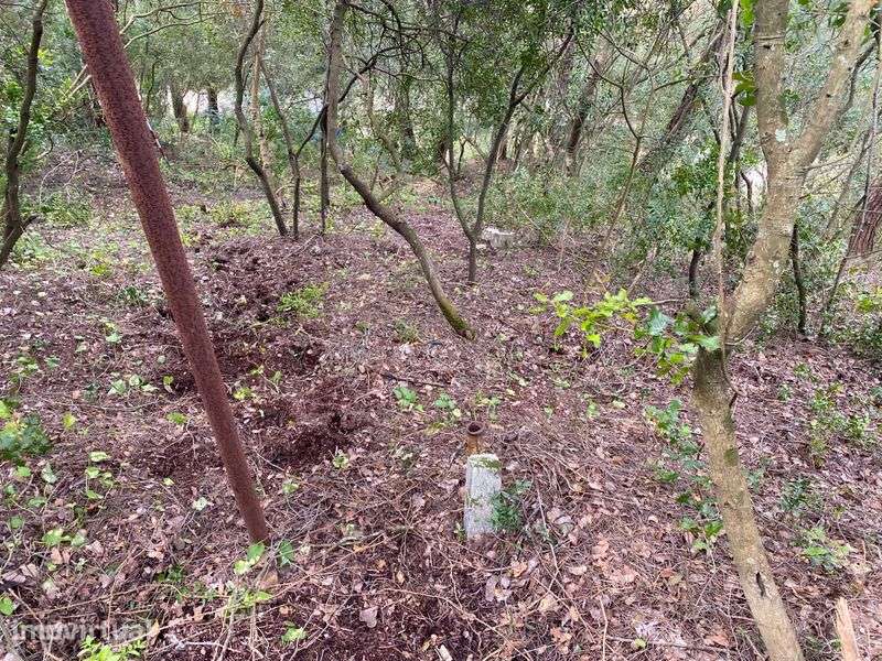 Exclusiva Ruína com Projeto de Reabilitação na Serra da Arrábida - Grande imagem: 4/7