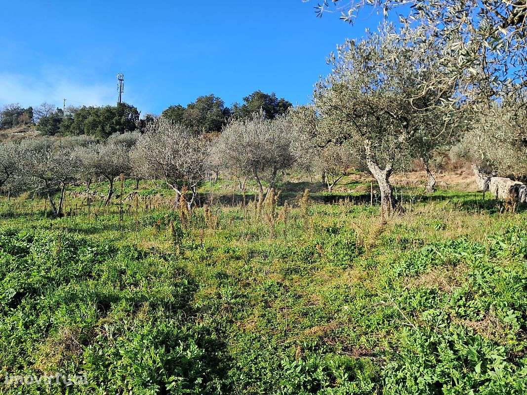 Moradia T5 para venda - Grande imagem: 2/22