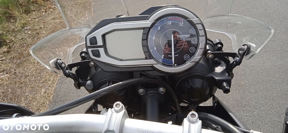 Triumph Tiger - 25