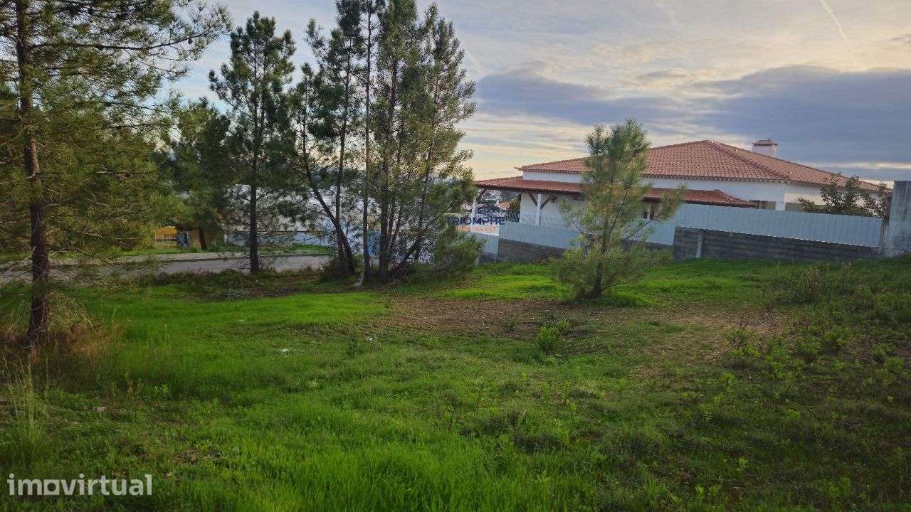 Terreno urbano Botequim, Meia Via, Torres Novas - Grande imagem: 3/8