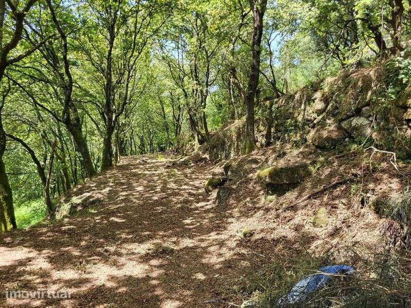 Terreno no Gerês com Ruína e Mina 3 Artigos 8.100m² - Grande imagem: 3/12