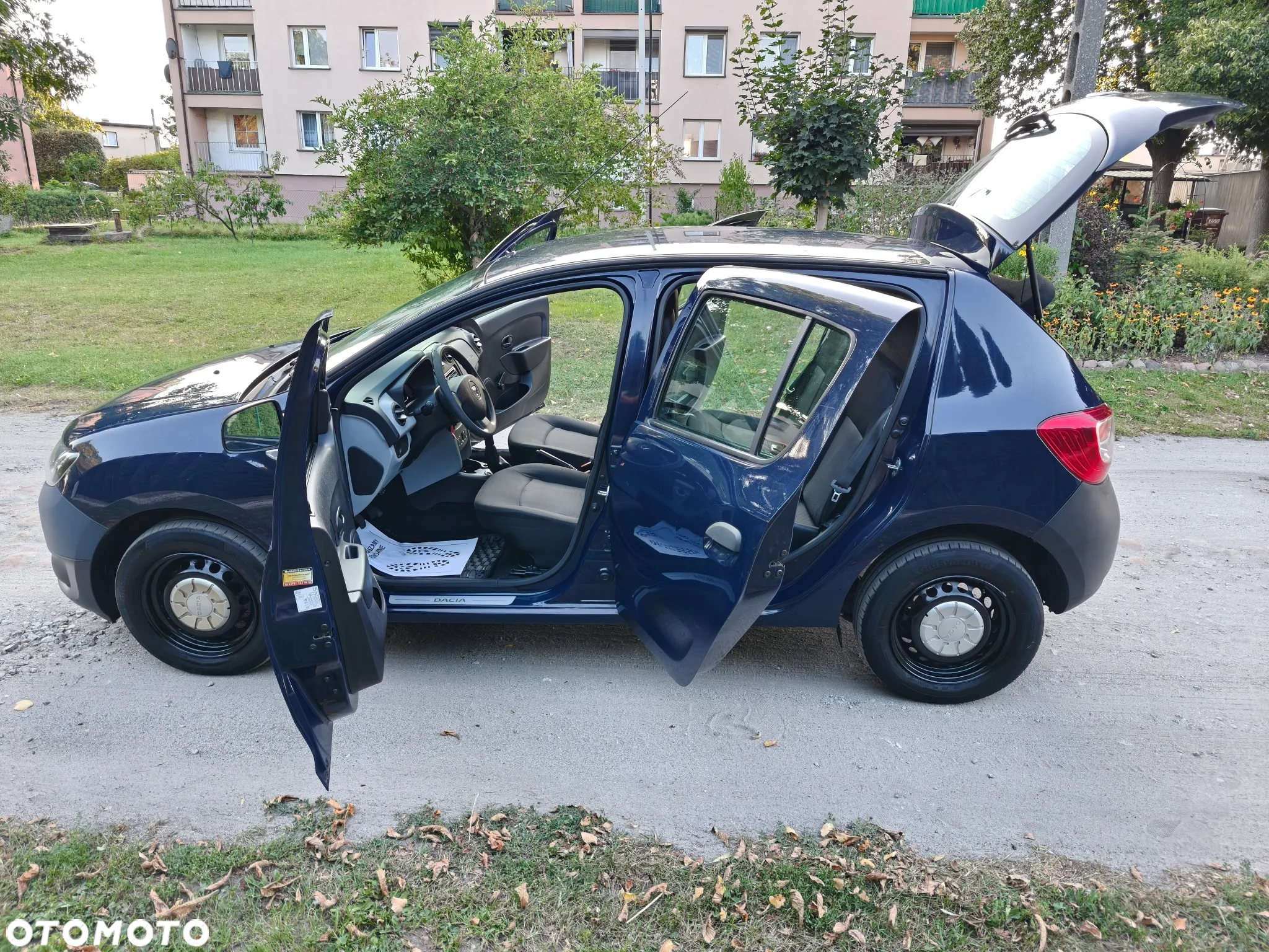 Dacia Sandero - 18