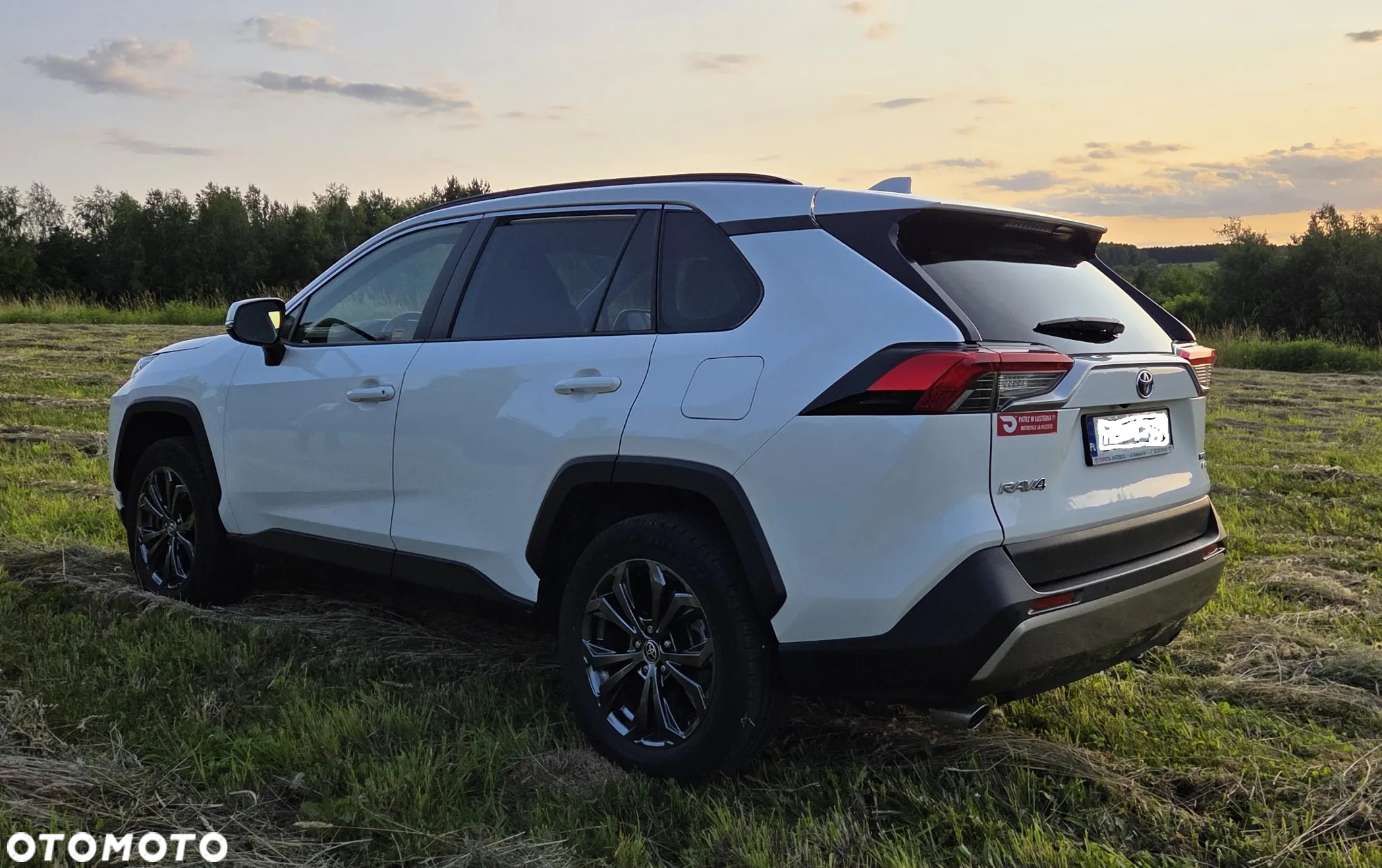 Toyota RAV4 2.5 Hybrid Comfort 4x4 - 6