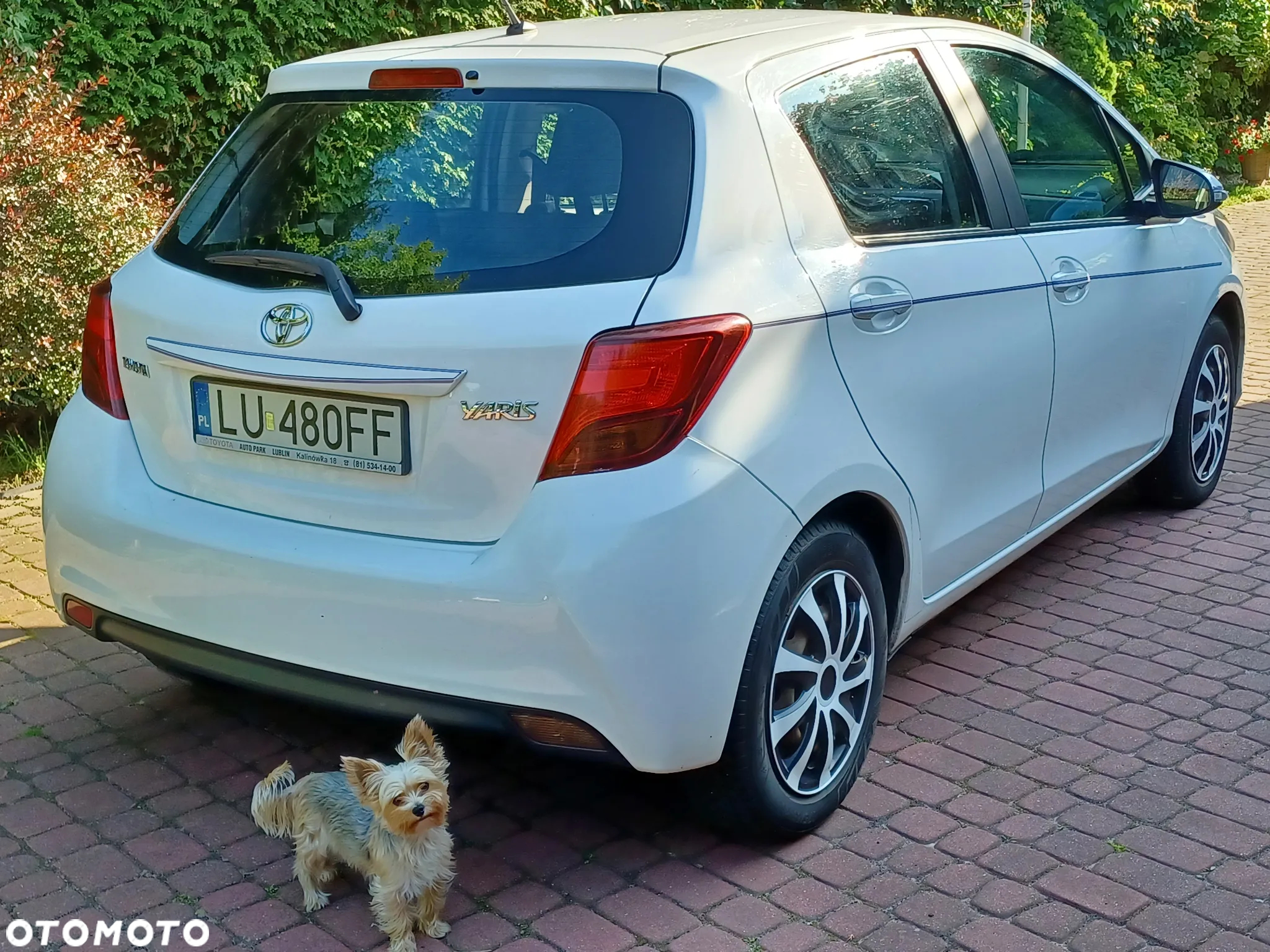 Toyota Yaris 1.33 Premium - 7