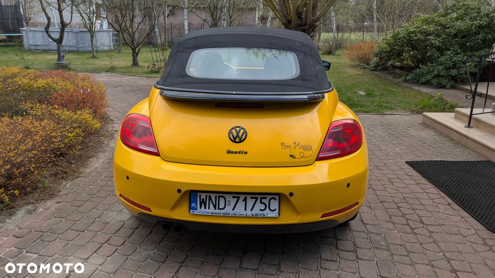Volkswagen Beetle - 8