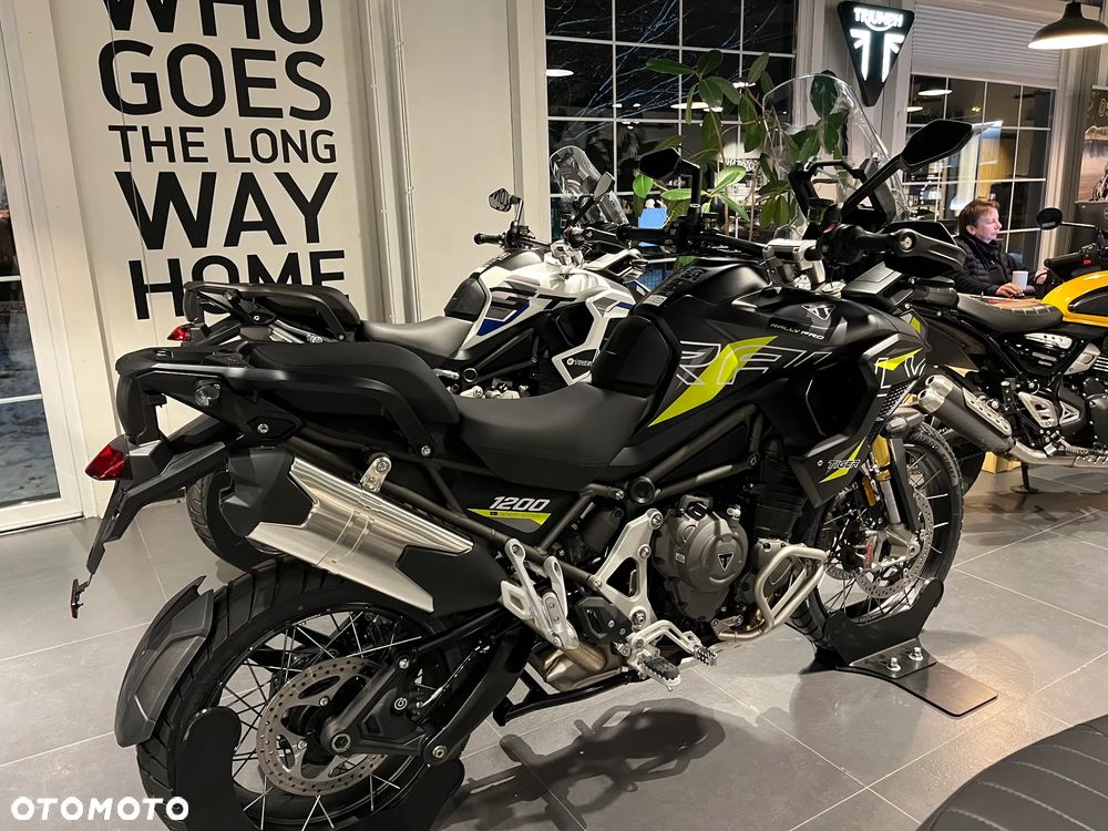 Triumph Tiger - 8