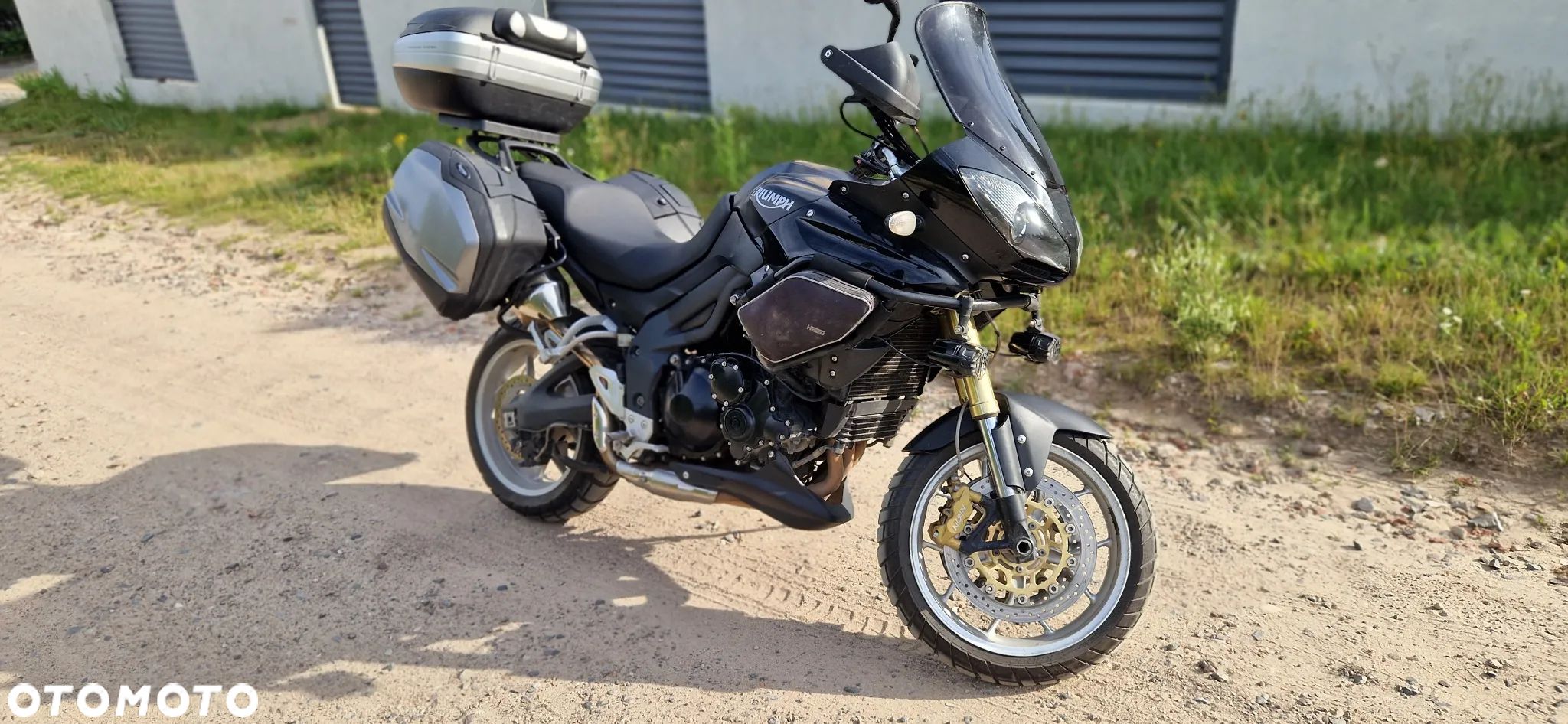 Triumph Tiger - 1
