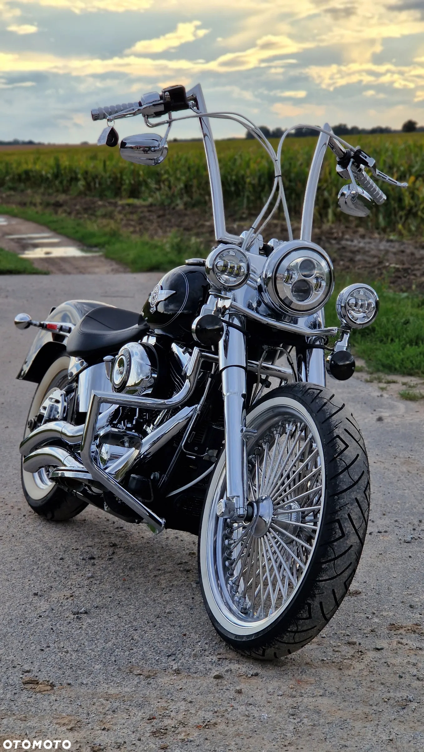 Harley-Davidson Softail Fat Boy - 5