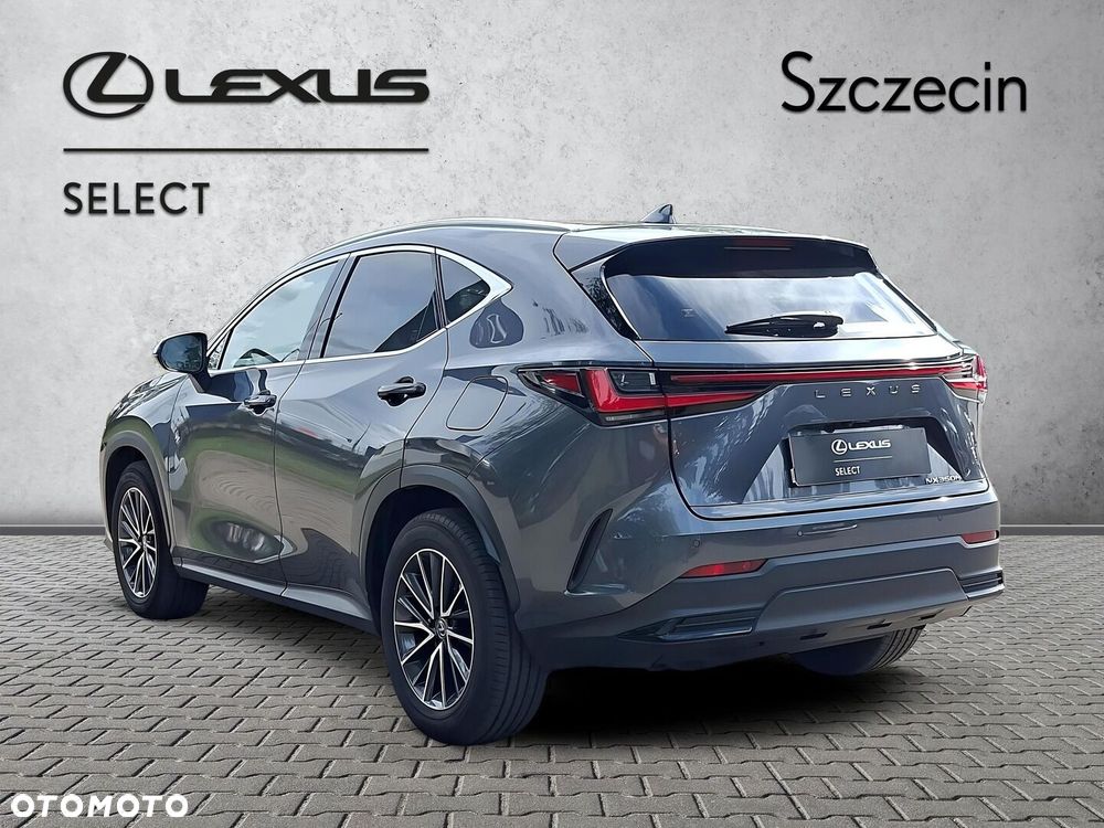 Lexus NX 350h Prestige 2WD - 3