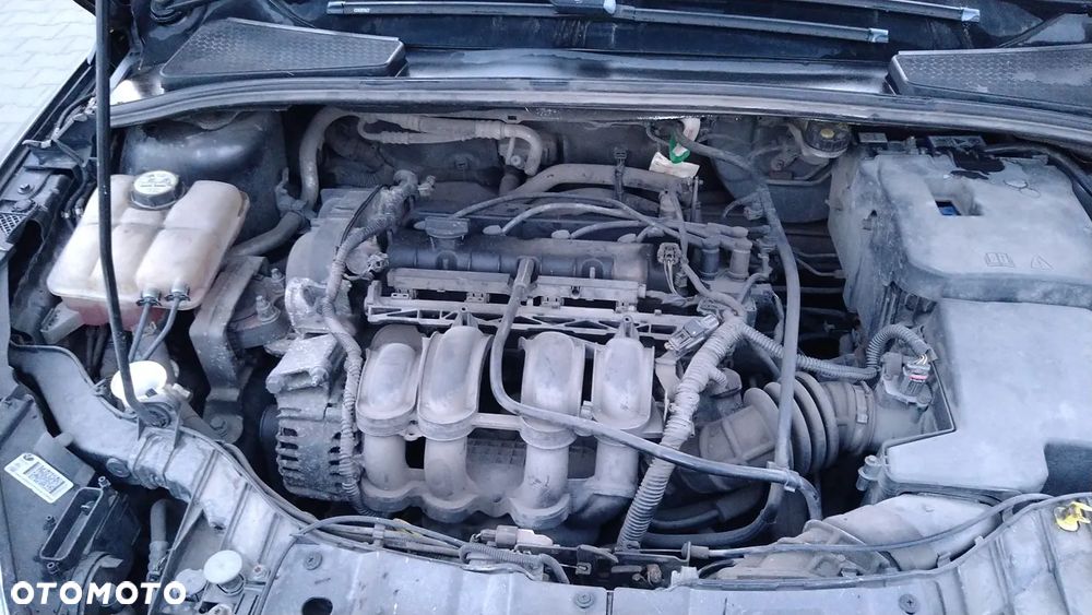 Ford Focus - 8