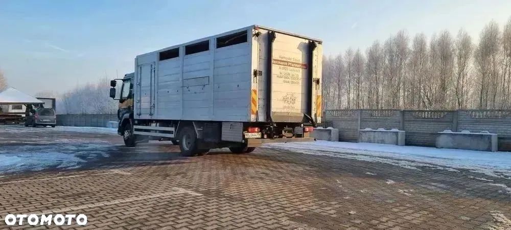 DAF LF55.250 do przewozu zwierząt - 1
