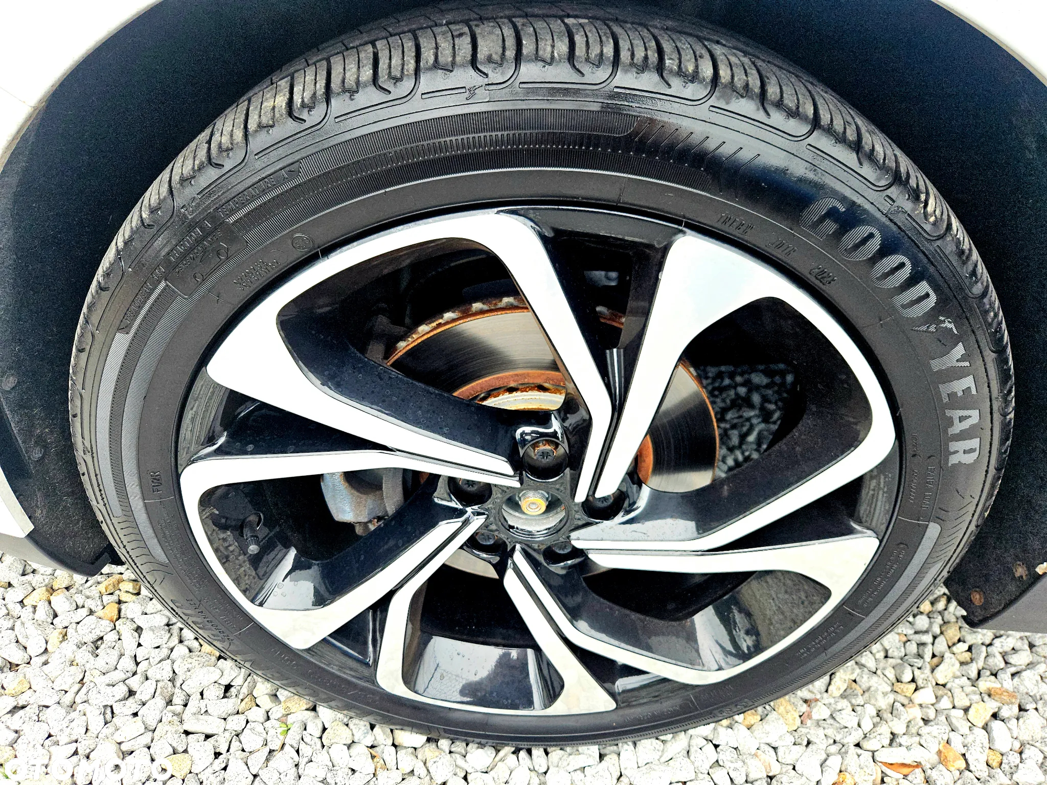 Renault Scenic ENERGY dCi 160 EDC BOSE EDITION - 19