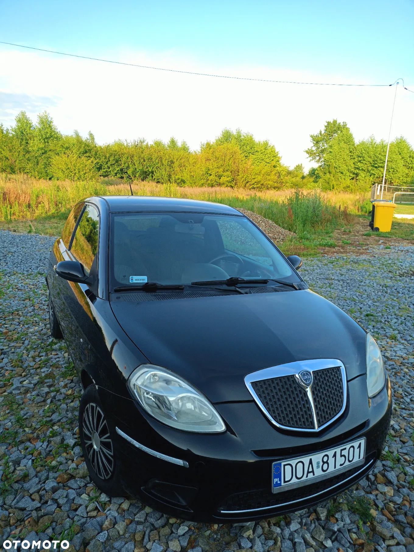 Lancia Ypsilon 1.2 8V Argento (4 os.) - 2