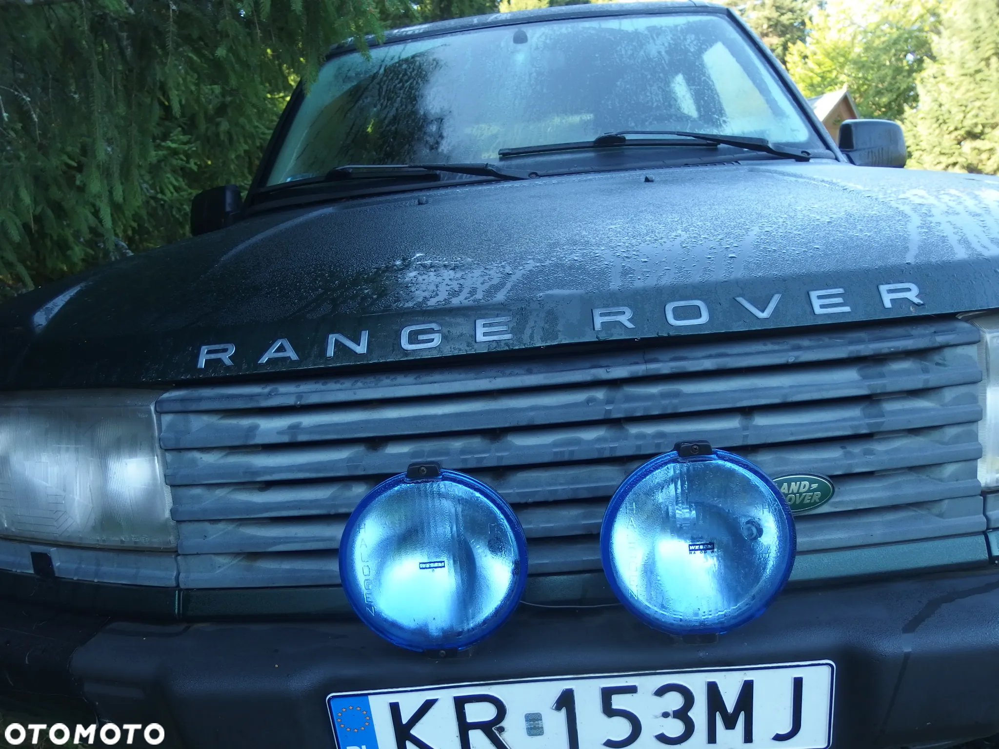 Land Rover Range Rover 2.5 DSE - 17