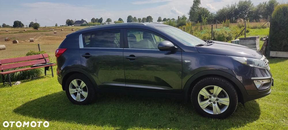 Kia Sportage - 1