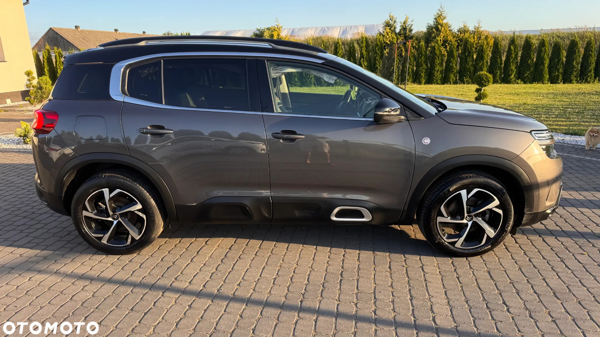 Citroën C5 Aircross Pure Tech 130 S&S C-SERIES - 6