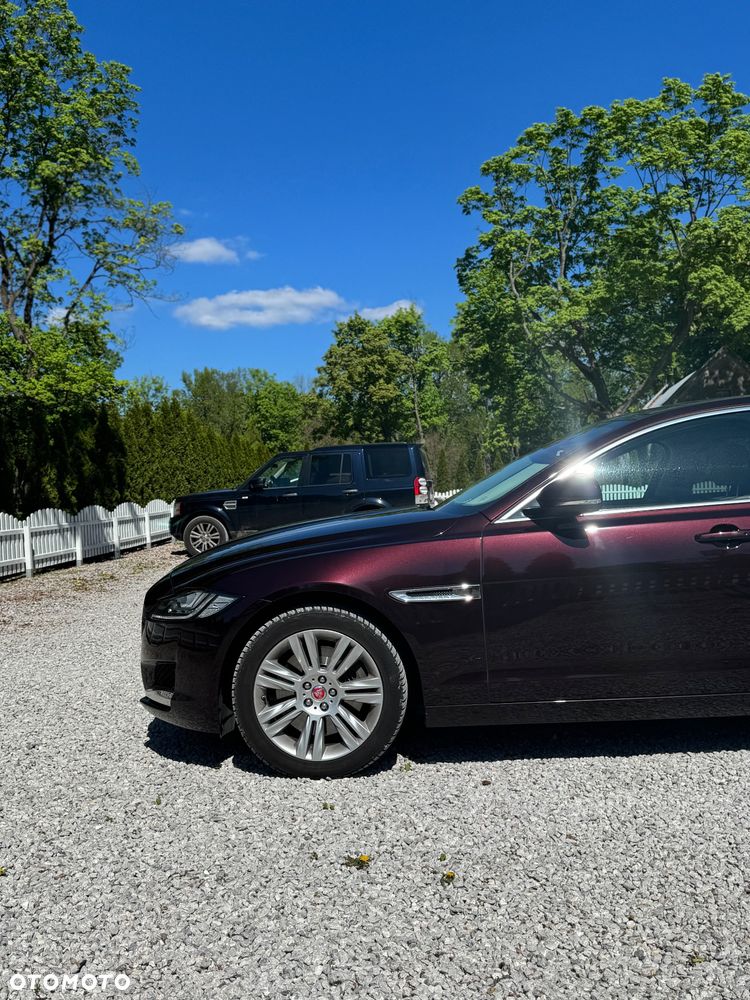 Jaguar XF 2.0 T AWD Portfolio - 3