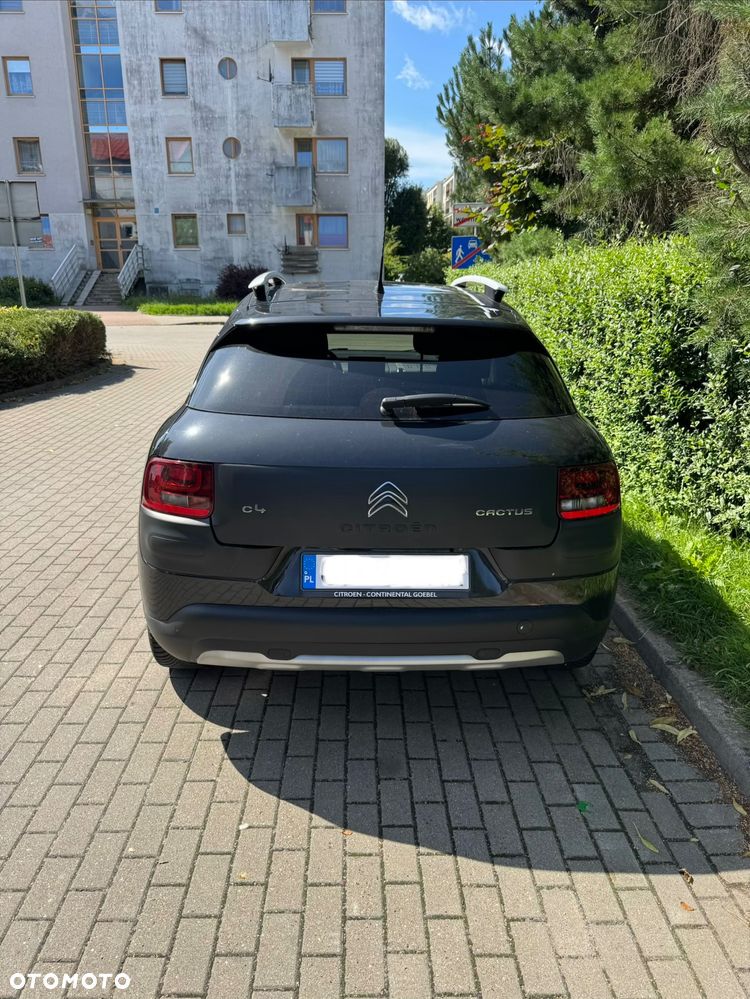 Citroën C4 Cactus 1.2 PureTech Rip Curl S&S - 2