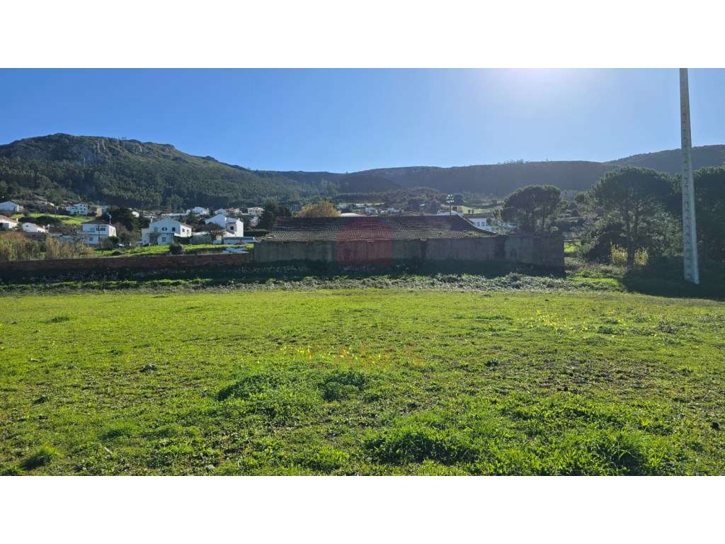 Terreno Exclusivo de 12.000 m² na Serra de Montejunto - Onde a Natu... - Grande imagem: 2/20