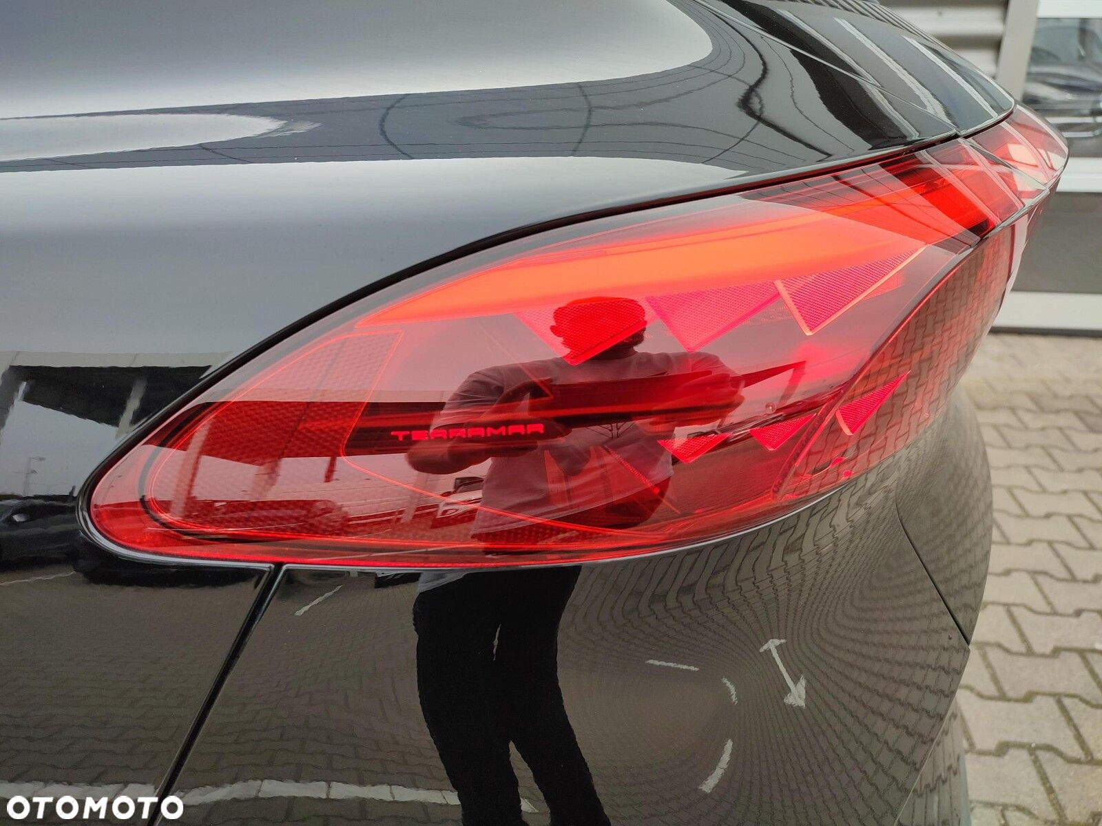 Cupra Terramar - 19