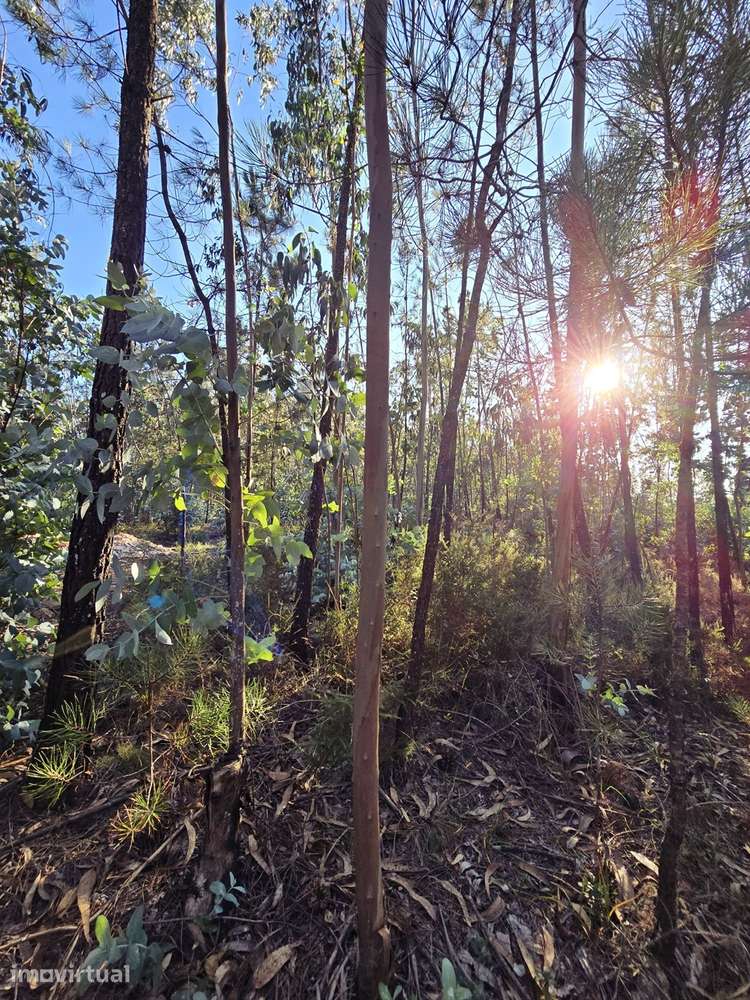 Terreno  Venda em Laundos,Póvoa de Varzim - Grande imagem: 4/11