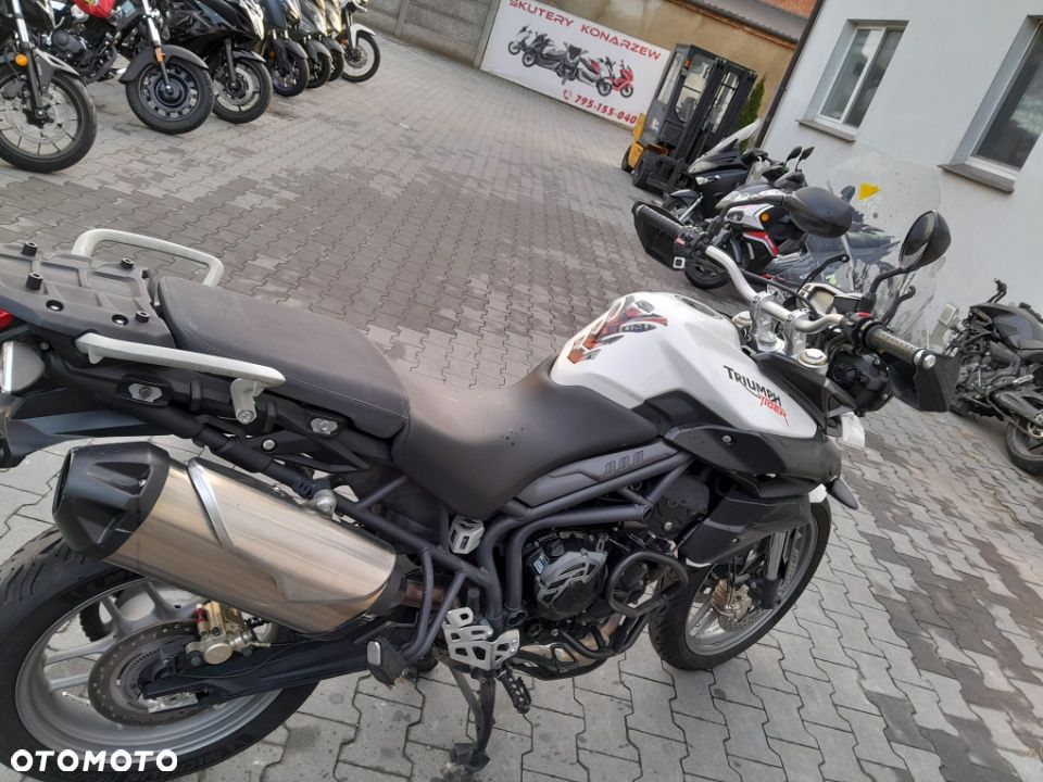 Triumph Tiger - 29