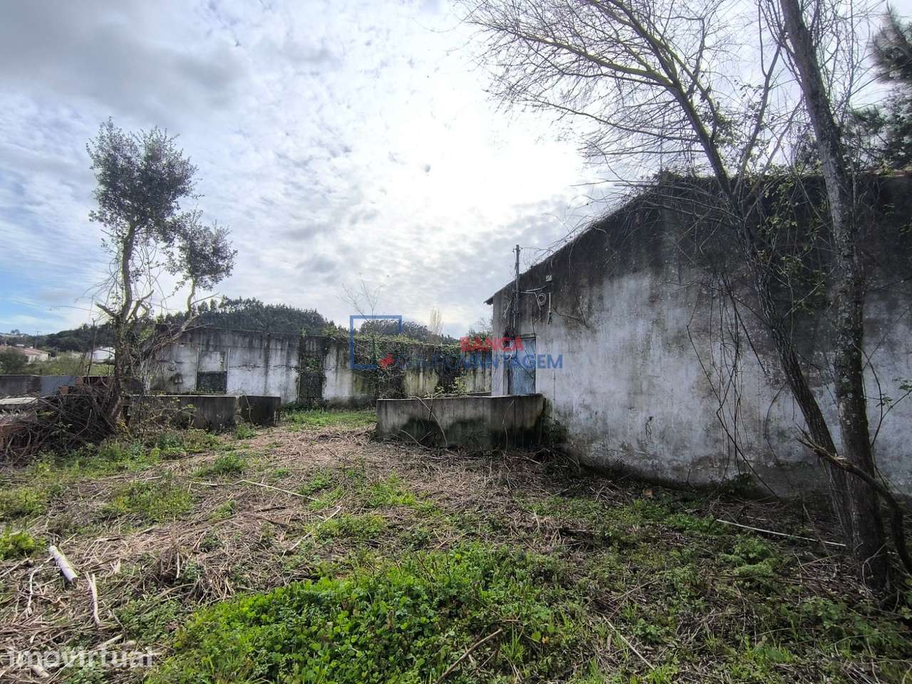 Quinta, para venda, Rio Maior - Asseiceira